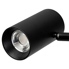 Торшер Citilux CL809011N 2