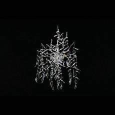 Настенный светильник Aployt Gertunia APL.847.11.03 3