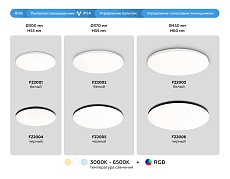 Потолочный светодиодный светильник Ambrella light Orbital Dance FZ2005 4