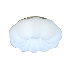 Потолочный светодиодный светильник Zortes Soft ZRS.1118.2