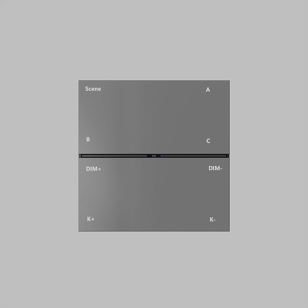 Панель управления Denkirs Control BT DK7201-DG изображение 1 Панель управления Denkirs Control BT DK7201-DG Фото № 1