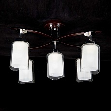 Спот Citilux Фортуна CL156152 3