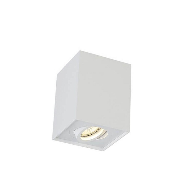 Потолочный светильник Crystal Lux CLT 420C WH Фото № 1