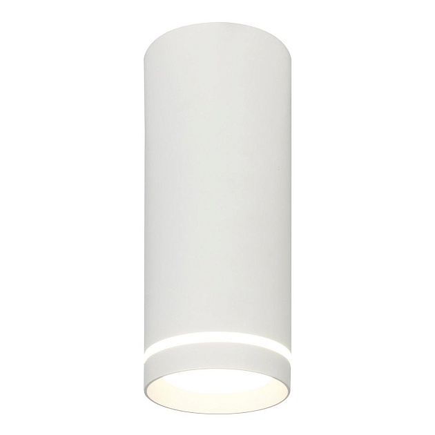 Потолочный светодиодный светильник Escada 20009SMU/02LED SWH изображение 1 Потолочный светодиодный светильник Escada 20009SMU/02LED SWH Фото № 1