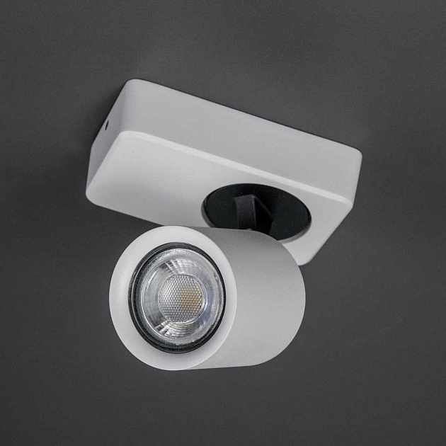 Спот Citilux Норман CL533510 Фото № 12