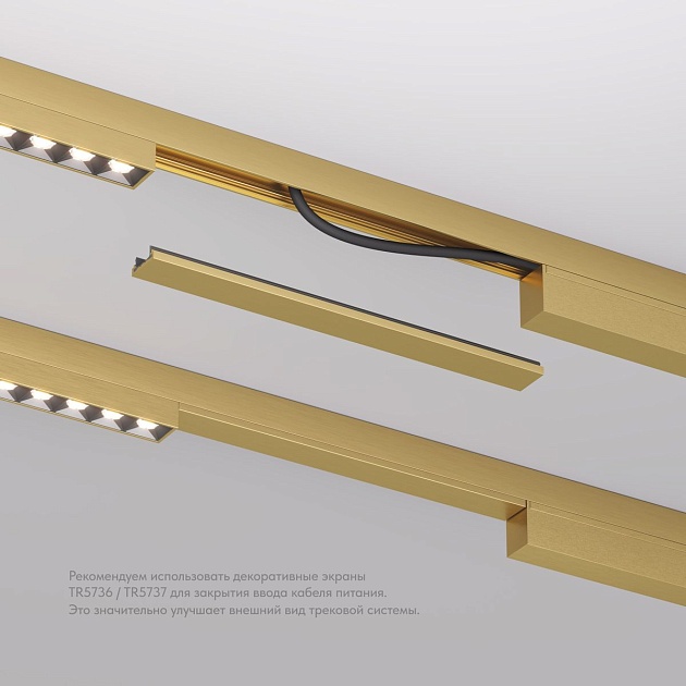 Заглушка Denkirs Shine Base TR5736-SB Фото № 6