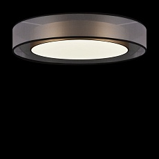 Потолочный светодиодный светильник Freya Zoticus FR6005CL-L48G 4