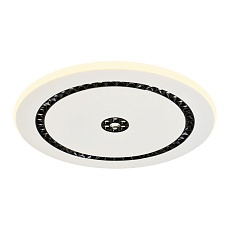 Потолочный светодиодный светильник F-Promo Skiva 4433-1C 2