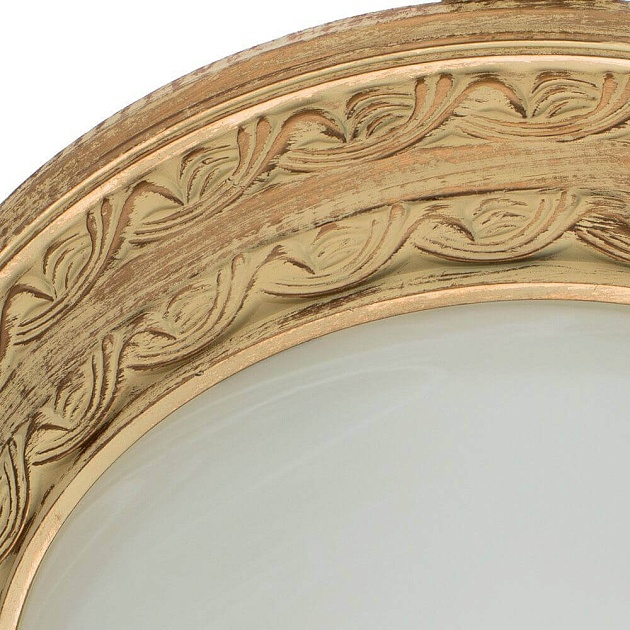 Потолочный светильник Arte Lamp Piatti A8014PL-2WA Фото № 3