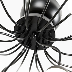 Потолочная светодиодная люстра Arte Lamp Dexter A3619PL-24BK 2