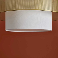 Подвесной светильник Freya Modern FR5528PL-01BS 3