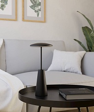 Уличный светодиодный светильник Eglo Piccola 900925 2