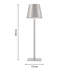 Настольная лампа F-Promo Pyari 4617-1T 1