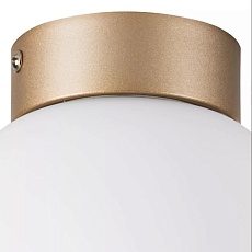 Настенно-потолочный светильник Lightstar Globo 812013 1