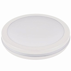 Накладной светильник LEEK LE061100-0058