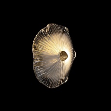 Настенный светильник Loft IT Bloom 10352W/A AB 3