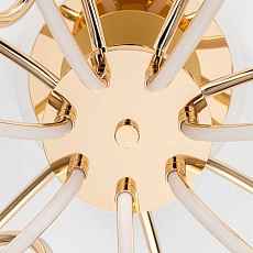 Потолочная светодиодная люстра Citilux Salma Smart CL224A172 1