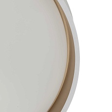 Светильник потолочный Citilux ENZO CL753510G 1