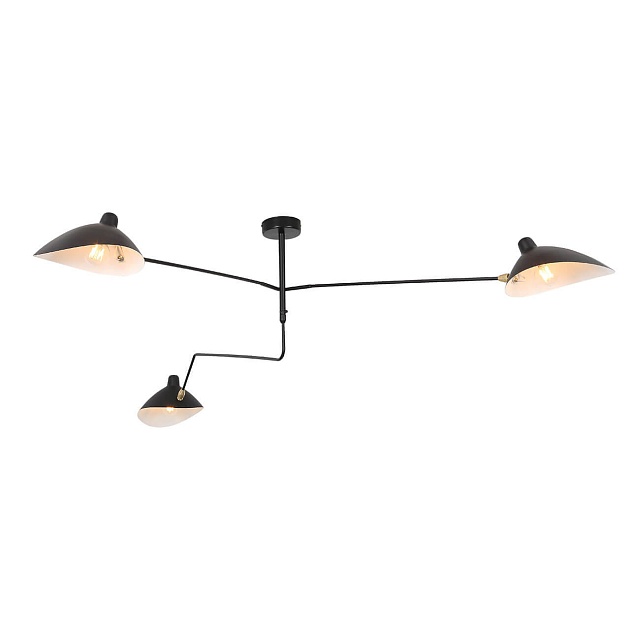 Потолочная люстра ST Luce Spruzzo SL305.402.03 изображение 1 Потолочная люстра ST Luce Spruzzo SL305.402.03 Фото № 1