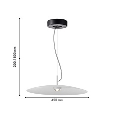 Подвесной светодиодный светильник Favourite Lars 4410-1P 1