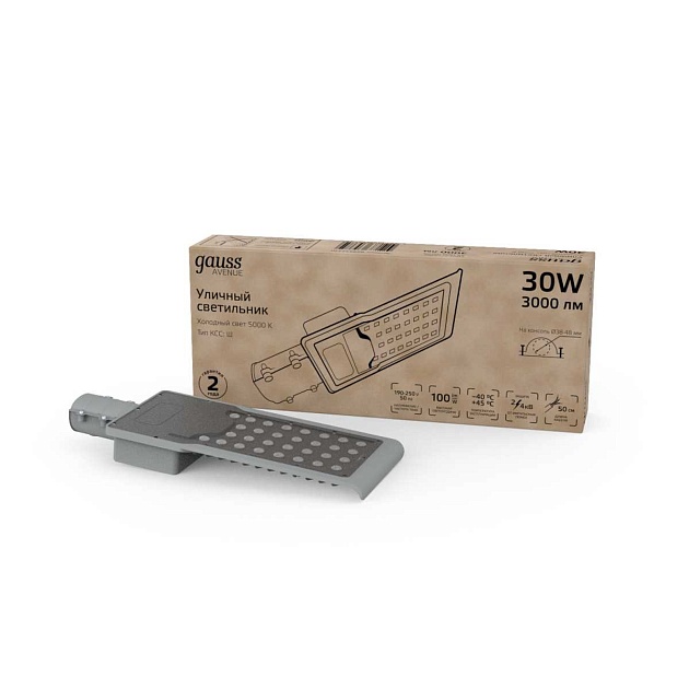 Уличный светодиодный консольный светильник Gauss Avenue 629534330 Фото № 2