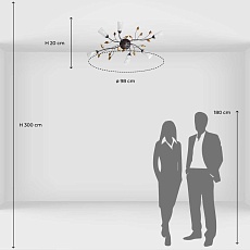Потолочная люстра MW-Light Восторг 242015206 3
