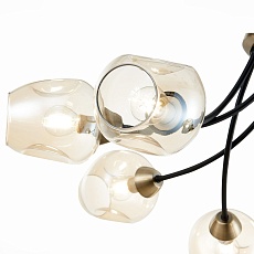 Потолочная люстра Evoluce Besano SLE205302-06 2