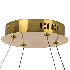 Люстра подвесная Vidare Lightstar 699063 1