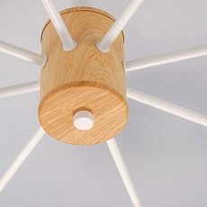 Потолочная люстра Eurosvet 70085/8 белый 1