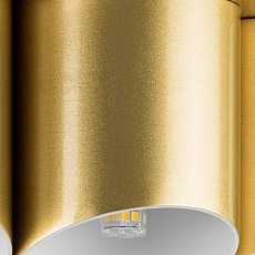 Потолочная люстра Lightstar Siena 720222 3