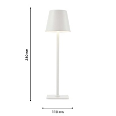 Настольная лампа F-Promo Pyari 4614-1T 1