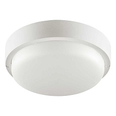 Накладной светодиодный светильник WOLTA LCL04-12W-R41-4K-SBA