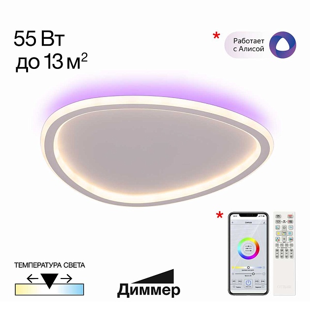 Потолочная люстра Citilux CL215B240E Фото № 1