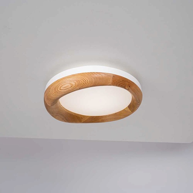 Потолочный светодиодный светильник Imperium Loft Runis 140974-26 Фото № 6