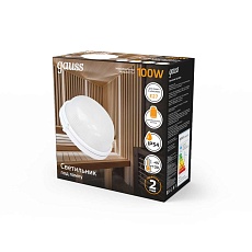 Настенно-потолочный светильник Gauss 926602101 2