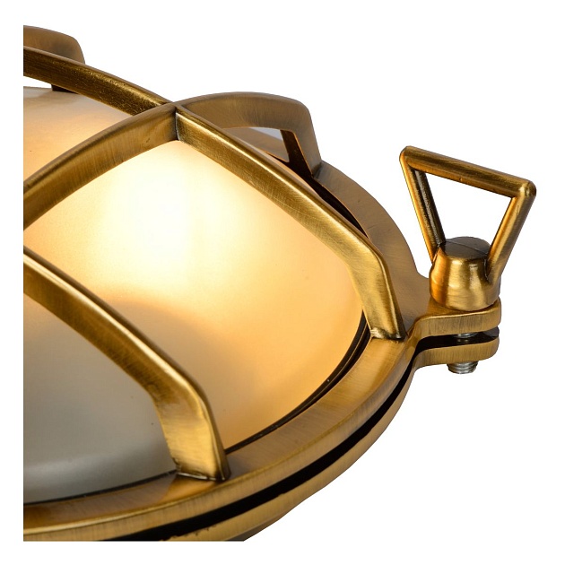 Уличный настенный светильник Lucide Dudley 11890/25/02 Фото № 3