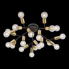 Потолочная светодиодная люстра ST Luce Foglione SL437.402.20 2