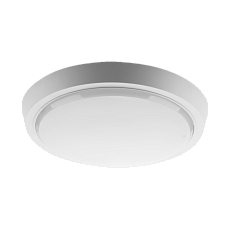 Накладной светодиодный светильник WOLTA DBO01-25-4K-SOA