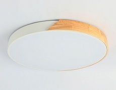 Потолочный светодиодный светильник Ambrella light Orbital Design FZ1301 2