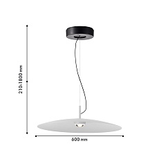 Подвесной светодиодный светильник Favourite Lars 4410-2P 1