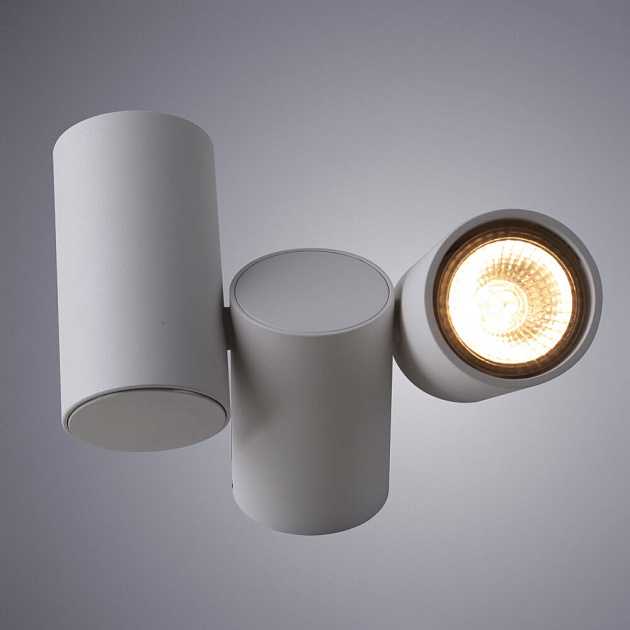 Потолочный светильник Divinare Gavroche 1354/03 PL-2 Фото № 2