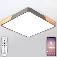 Потолочный светодиодный светильник Natali Kovaltseva LED LAMPS 81413 5