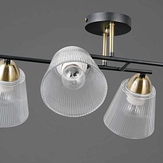 Люстра Illumico IL0845-4CSQ-25BKAB ELITE 1