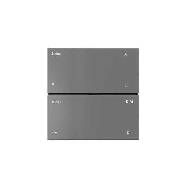 Панель управления Denkirs Control BT DK7201-DG изображение 2 Панель управления Denkirs Control BT DK7201-DG Фото № 2