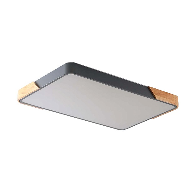 Потолочный светильник Zortes ALBERRO ZRS.01277.60 Фото № 1