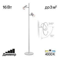 Торшер Citilux CL809010N