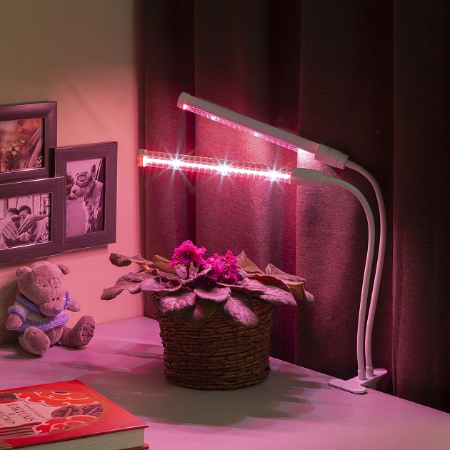 Настольная лампа ЭРА Crocus Fito-20W-Aled Б0039171 изображение 2 Настольная лампа ЭРА Crocus Fito-20W-Aled Б0039171 Фото № 2