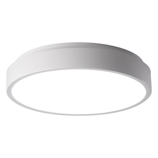 Потолочный светодиодный светильник Jazzway PPB Sсandic-R 5036802 Фото № 1