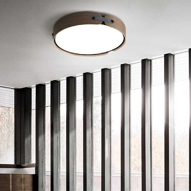 Потолочный светильник Imperium Loft Range 101959-26 изображение 8 Потолочный светильник Imperium Loft Range 101959-26 Фото № 8