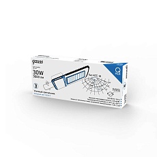 Уличный светодиодный консольный светильник Gauss Qplus 629535330 2